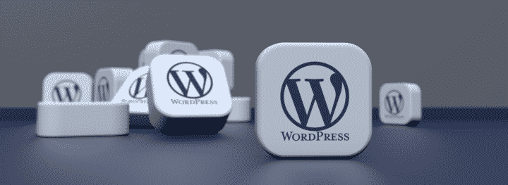 WordPress SEO